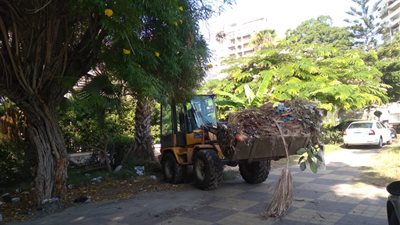 تركزت حول 2000 مدرسة.. حملات مكبرة لرفع 41 ألف طن قمامة بالإسكندرية