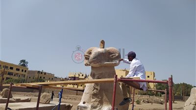 مدير معابد الكرنك يكشف تفاصيل العثور على كوبرا خلال أعمال الحفائر بالكباش