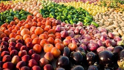  الحجر الزراعي: دورنا الحفاظ على سُمعة الصادرات الزراعية المصرية