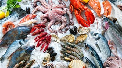 البلطي بـ43 جنيه.. تعرف على أسعار الأسماك في سوق العبور اليوم السبت