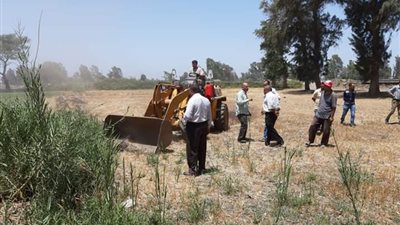 بالأرقام.. حجم الإزالات والتعديات على الأراضي الزراعية خلال عام
