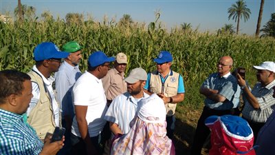 الزراعة تعلن عن وظائف بـ5 آلاف جنيه في جنوب سيناء (فيديو)