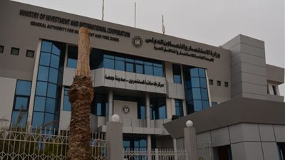 “الدستورية العليا” ترفض دعوي عدم دستورية المواد 41-44 من قانون الشركات