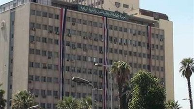 “الزراعة” تناشد المواطنين سرعة استيفاء المستندات لدخول مزاد “رابعة” بمحافظة سيناء