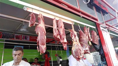 13 نصيحة للمواطنين عند شراء أضحية عيد الأضحى المبارك