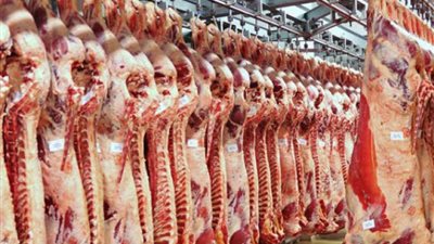 الزراعة: قطاع الإنتاج يستعد لعيد الأضحى بـ 83 منفذا لبيع المنتجات الغذائية بأسعار تنافسية