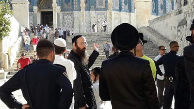 مرصد الأزهر: 2000 صهيوني منهم متطرفين اقتحموا ساحات المسجد الأقصى في شهر