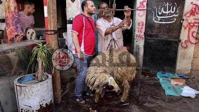 مشاهد من استعدادات المصريين لاستقبال عيد الأضحي