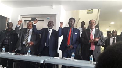 القاهرة تستضيف الجبهة الثورية السودانية لحل قضايا الخرطوم الخلافية