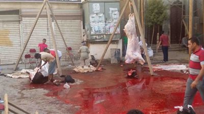 غرامة تصل لـ 10000 جنيه.. محافظة القاهرة تحدد عقوبة من يذبح أضحيته في الشوارع