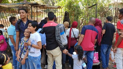 50 ألف زائر لحديقة الحيوان في ثاني أيام عيد الأضحى (صور)