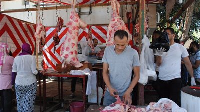 تحرير 35 محضرًا ضد مواطنين ذبحوا أضاحيهم في شوارع الجيزة