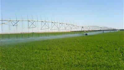 رئيس “الريف المصري”: تنظيم لقاءات لتقديم الإرشاد الزراعي للمنتفعين بأراضي الـ1.5 مليون فدان