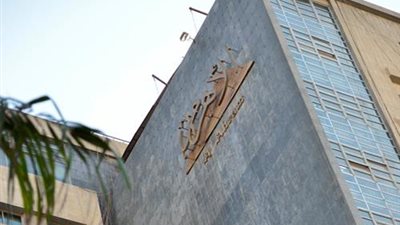 عضو الأعلى للإعلام: العاملون في المؤسسات الصحفية القومية يعانون معاناة شديدة (فيديو)