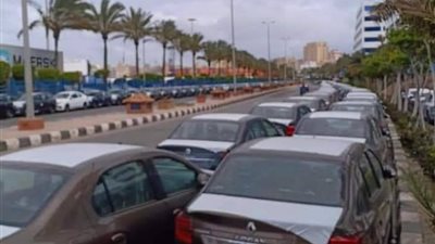 جدال على الهواء بسبب «خليها تصدي».. شعبة السيارات: «الحملة ملهاش تأثير» (فيديو)