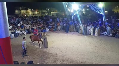 بالخيول والمزمار والتحطيب.. الأقصر تحتفل بالمولد النبوي