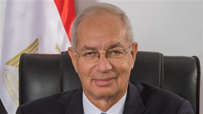 رئيس اقتصادية قناة السويس: شركات الشحن البحري حققت مكاسب تاريخية بدعم الجائحة