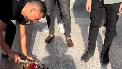 شومة وجلسة عُرفية وفدية.. ذبح خروف أمام جامعة 6 أكتوبر بعد مشاجرة طالبين | فيديو