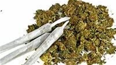 المؤبد لـ فلاح بتهمة تجارة الحشيش ببورسعيد