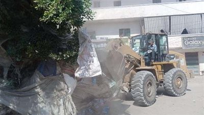 إزالة 122 حالة تعد على الأراضي الزراعية وأملاك الدولة بالشرقية