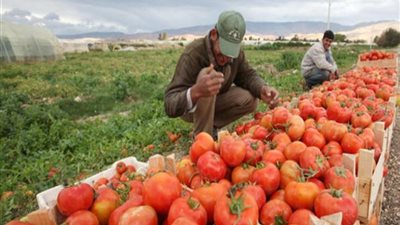  وزير الزراعة: فتحنا أسواقًا جديدة للمنتجات المصرية في 168 دولة.. واليابان من أصعبها