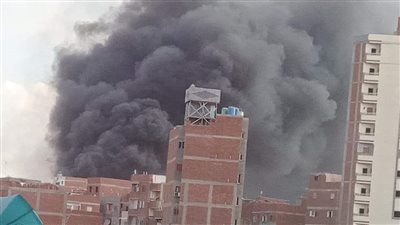 السيطرة على حريق في مقلب قمامة بالمنصورة | صور