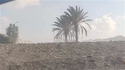 بعد سؤال برلماني.. لجنة وزارة البيئة تبحث أزمة الأدخنة المتصاعدة بحي الزهور ببورسعيد | مستند 