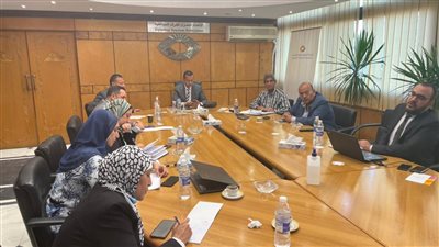 الضرائب: بدء تطبيق الفاتورة الإلكترونية في أماكن البيع للمستهلكين خلال 6 أشهر 