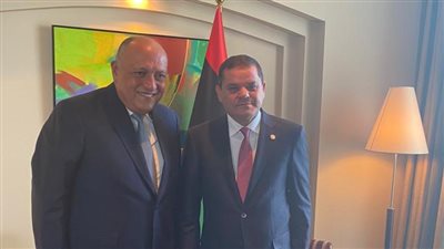 شكري يؤكد ضرورة خروج جميع القوات الأجنبية المسلحة من ليبيا