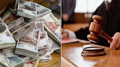 قاضي التحقيق في قضية التمويل الأجنبي: لا وجه لإقامة الدعوة ضد 4 منظمات حقوقية 