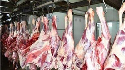 مساعد وزير التموين يتعهد على مسئوليته: انخفاض أسعار اللحوم قبل عيد الأضحى