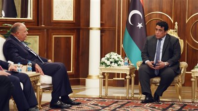 شكري يلتقي محمد المنفي على هامش مؤتمر استقرار ليبيا | صور 