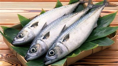 تعرف على أسعار الأسماك اليوم السبت 6 نوفمبر 2021.. الكابوريا بـ30 جنيه