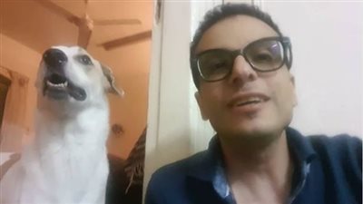 بصحبة كلبه.. أول صورة لأمير رمسيس بعد عودته إلى القاهرة واستقالته من الجونة 