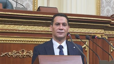 القوى العاملة بالنواب: اللائحة التنفيذية لقانون قطاع الأعمال محل مناقشات في اللجنة 