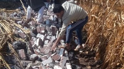 زراعة الفيوم: لا تهاون في إزالة التعديات والمخالفات على أراضي المحافظة