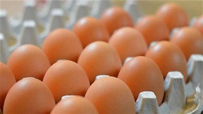 انفراجة جديدة.. انخفاض سعر كرتونة البيض بقيمة 3 جنيهات