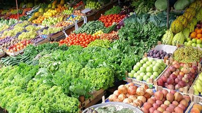 نقيب الزراعيين: نتوقع ارتفاع أسعار بعض المنتجات الزراعية بسبب العروة الشتوية