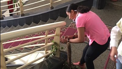 طلاب تربية رياضية كفر الشيخ يشاركون في تجميل ودهان أرصفة كليتهم في الأسبوع البيئي │ صور