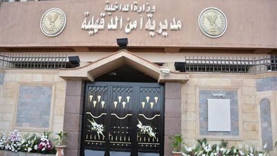  بطعنتين نافذتين.. جهود مكثفة لكشف لغز العثور على جثتي شابين مقتولين بالدقهلية