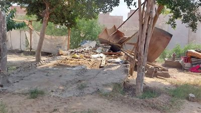 إزالة 40 حالة تعدِ على أملاك الري بأبو زعبل بالخانكة 