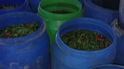 ضبط مصنع مخللات مخالف للاشتراطات الصحية في المحلة الكبرى | صور