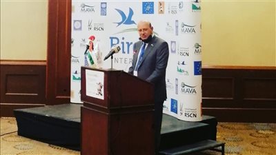  Bird Life تنظم ورشة عمل للتصدي لقتل 25 مليون طائر سنويًا في البحر المتوسط