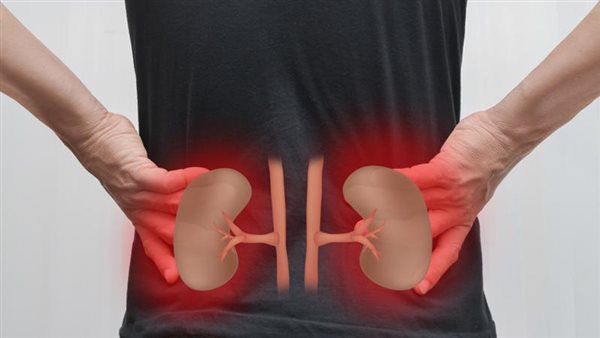 أمراض الكلى 