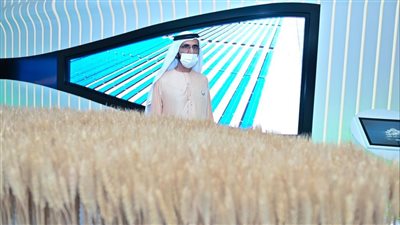 حاكم دبي يزور جناح مصر في إكسبو دبي 2020 | فيديو