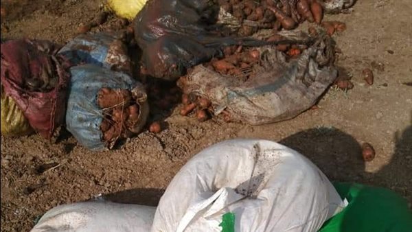 حملات تموينية بالبحيرة