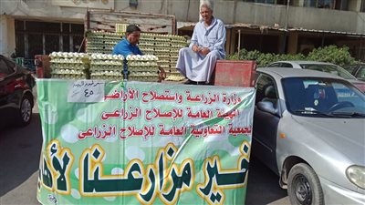 بسعر 45 جنيهًا.. الزراعة توفر 1000 كرتونة بيض بمنافذ الوزارة في الدقي | صور