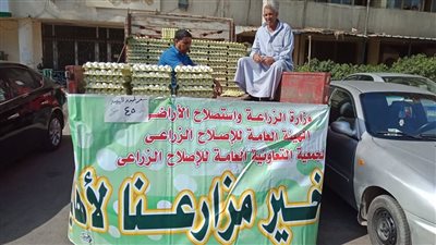 الزراعة تطرح أكثر من 1000 كرتونة بيض بسعر 45 جنيهًا للواحدة بميدان الدقي