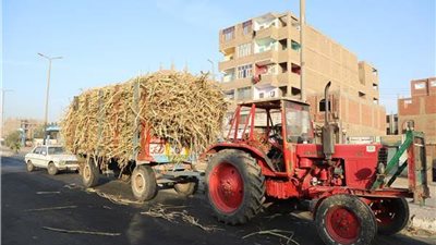 مصرع تلميذ دهسه جرار محمل بالقصب في قنا.. والأمن يضبط السائق