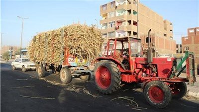 الحالة الثانية خلال ساعة.. جرار محمل بالقصب يصدم مُسنا في قنا